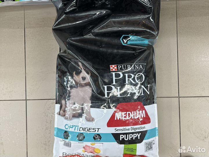 Сухой корм для собак