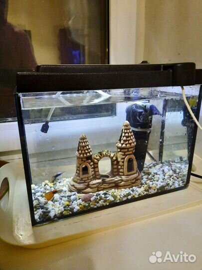 Аквариум
