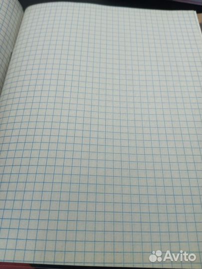 Тетрадь в клетку, дневник