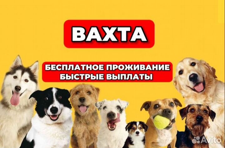 Фасовщики/Работа для всех/Еженедельные выплаты