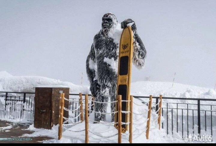 Экскурсия на роза хутор