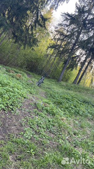 Forward sporting 29 2.1 disk