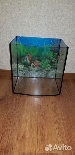 Выпуклые аквариумы