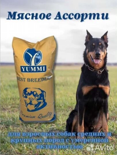 Yummi (юмми) premium для собак