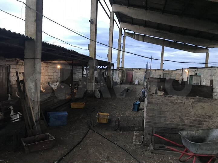 Участок 100 сот. (СНТ, ДНП)