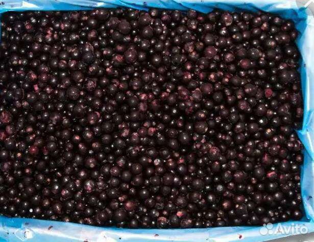 Смородина замороженная