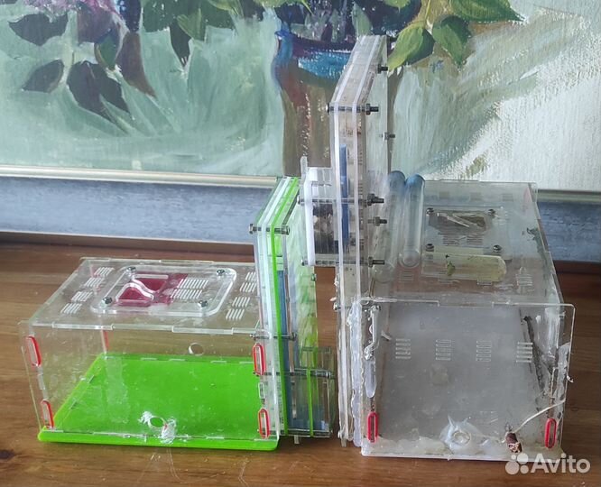 Муравьиная ферма бу