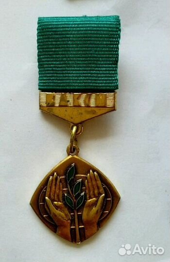 Комсомол, влксм, ссо