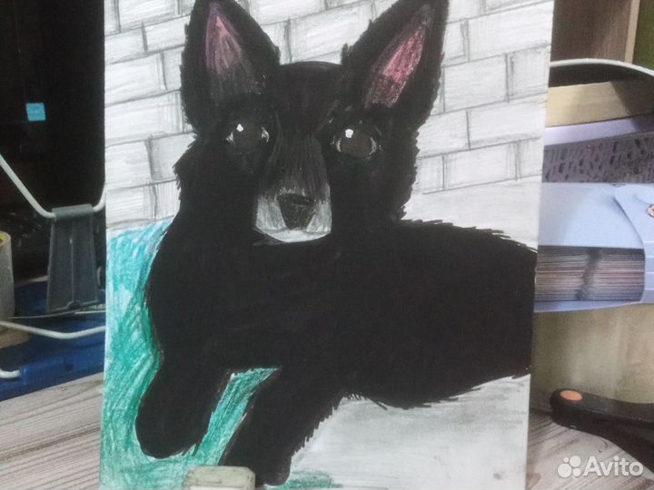 Рисую рисунки с котиками и другими питомцами