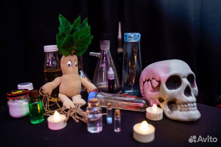 Детские квесты, праздник с едой и аниматорами