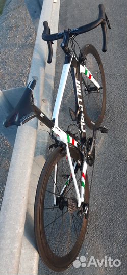 Cipollini NK1K Italian Champion