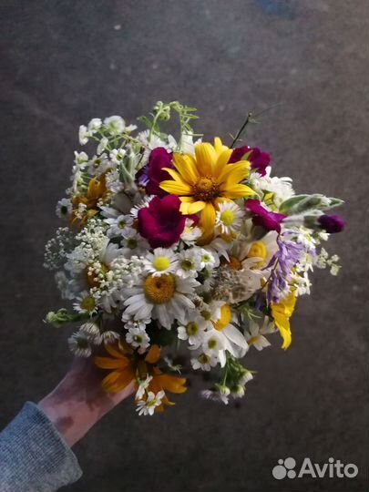 Букеты/цветы/срезка