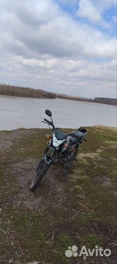 Продам alfa RF11