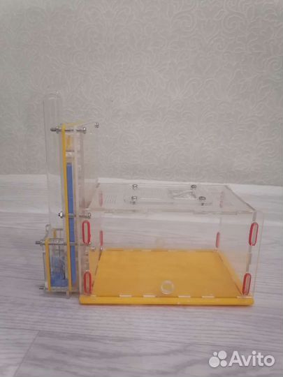 Муравьиная ферма