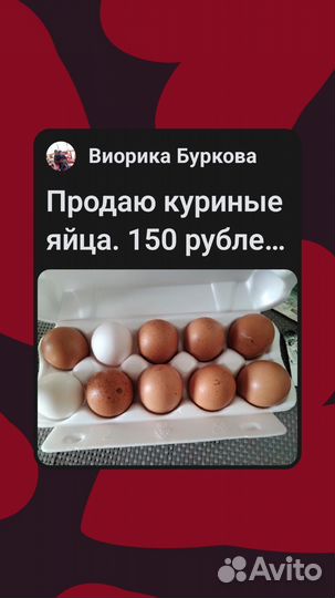 Домашние куриные яйца