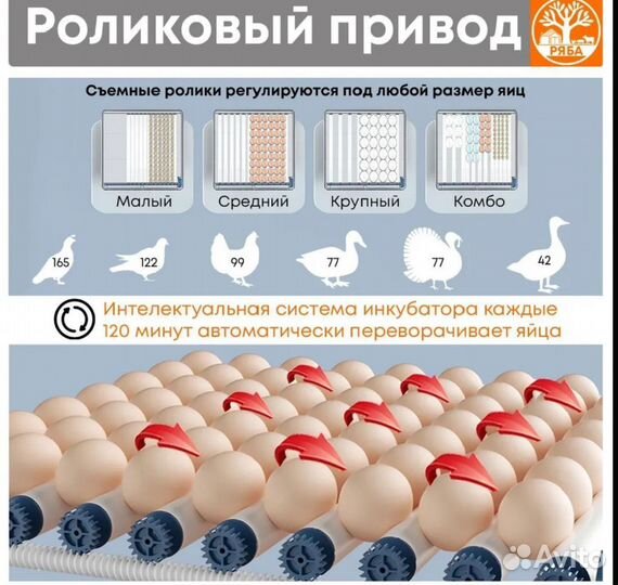 Инкубатор АВТОМАТИЧЕСКИЙ