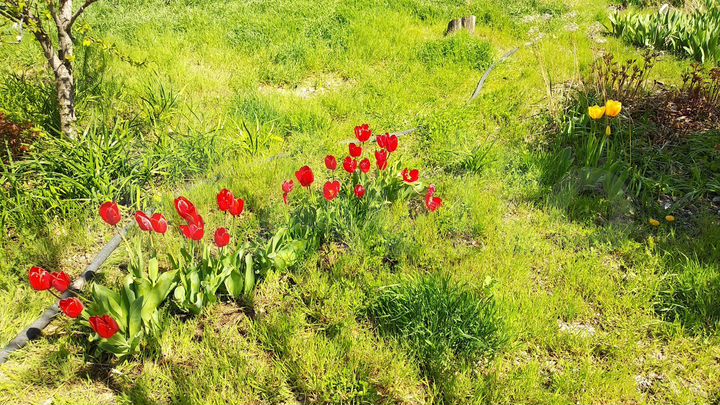 Дача 11 м² на участке 8,6 сот.