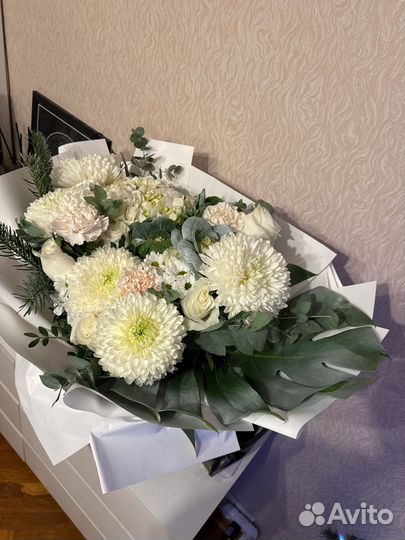 Хризантема