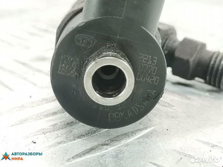 Форсунка Opel Insignia (A) 2010 55566050