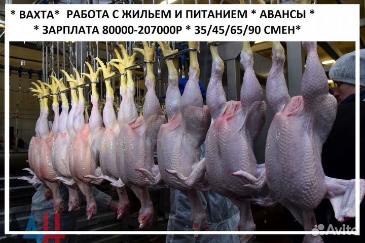 Обвальщик мяса птиц Вахта г.Владимир