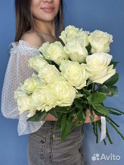 Розы Эквадор коупгые мондиаль