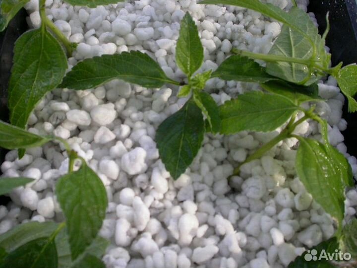 Агроперлит для растений