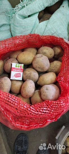 Картофель на еду домашний