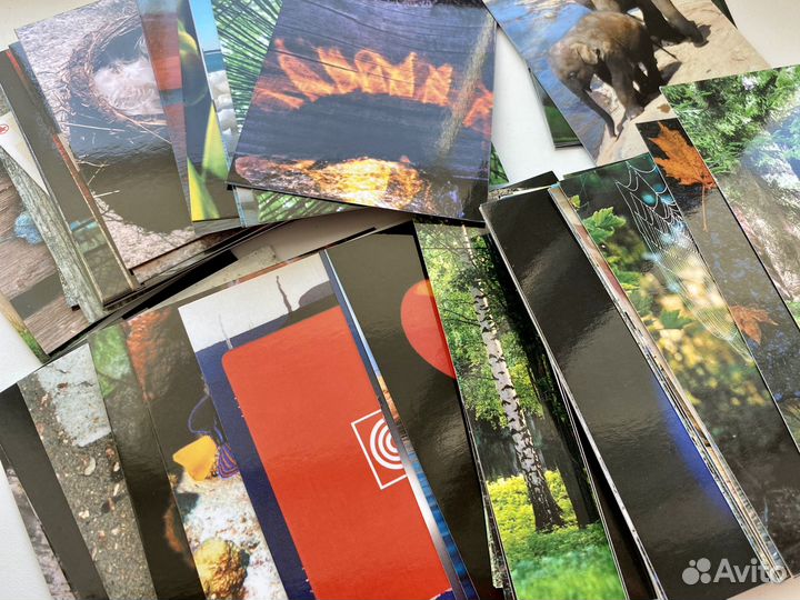 Мужчина и Женщина; Тотемные животные; Таро Манара;