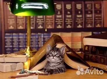 Продаются книги (часть 3)