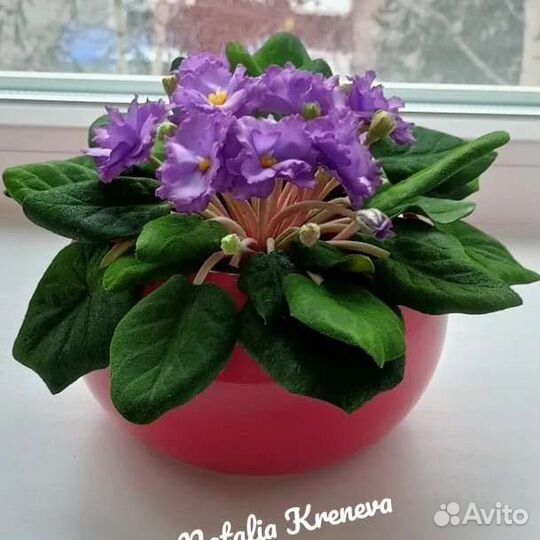 Фиалка из фоамирана