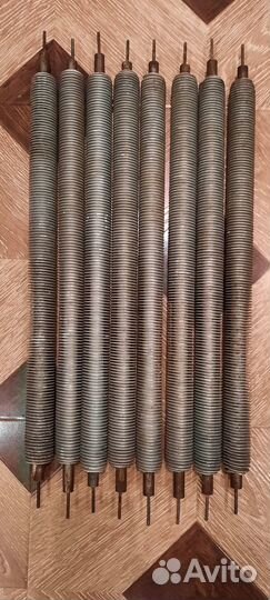 Тэн оребренный