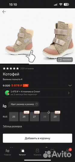Валенки котофей 22