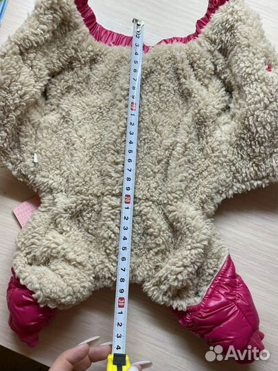 Одежда для собак