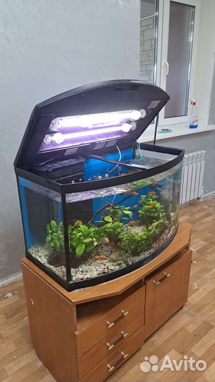 Аквариум с тумбой 120 литров