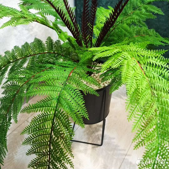 Папоротник искусственный