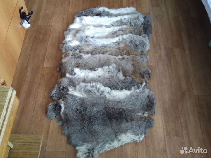 Шкурки кролика