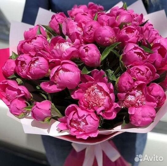 Пионы Букеты Цветы Доставка