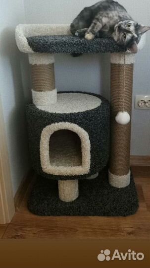 Когтеточка домик