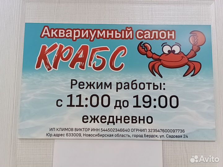 Аквариумный салон 