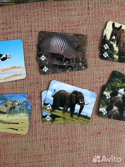 Настольная игра мемо