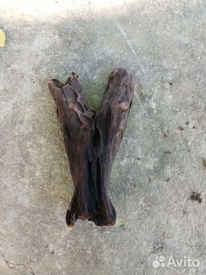 Коряга для поделок, коряга для террариума