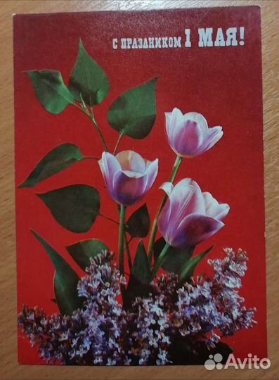 Открытки СССР