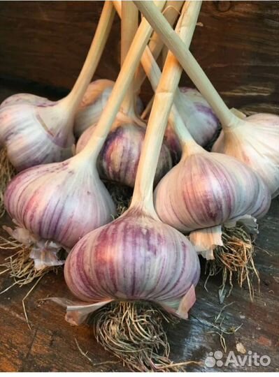 Продукты питания