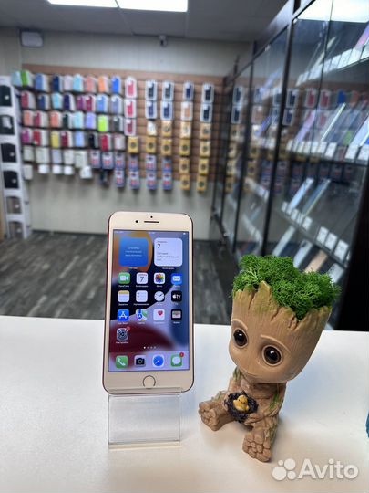 iPhone 7 Plus, 128 ГБ