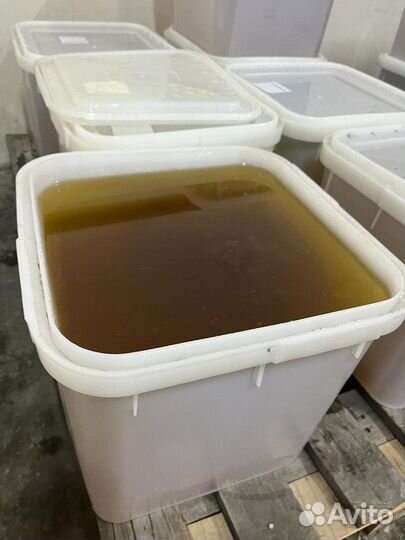 Эспарцетовый мёд оптом сбор 2023 года