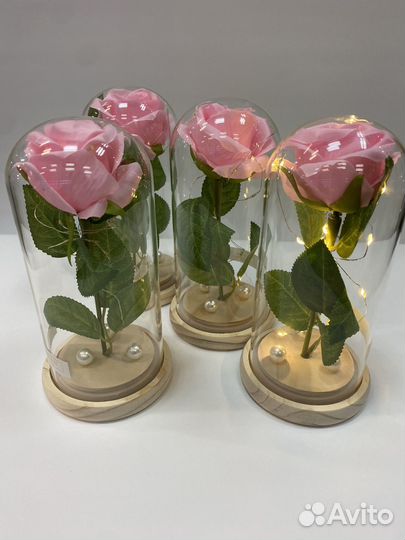 Роза в колбе