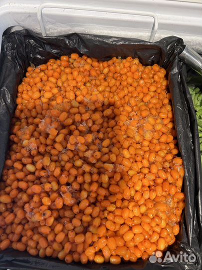 Облепиха замороженная 10 кг, доставка бесплатно