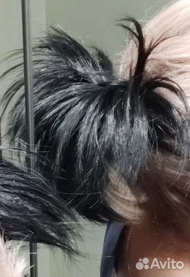 Шиньен хвостики