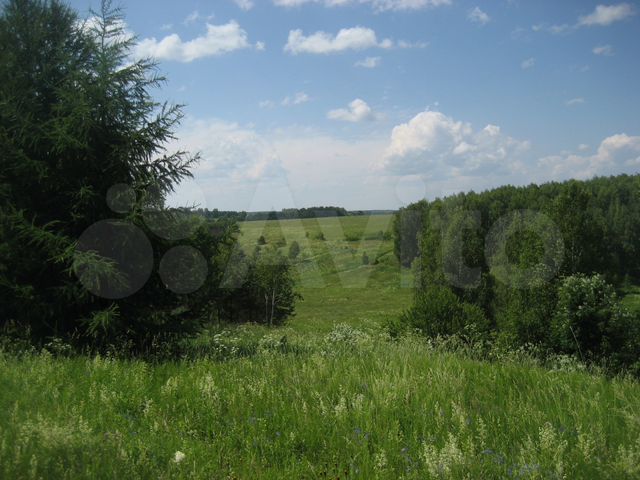 Участок 20 сот. (ИЖС)