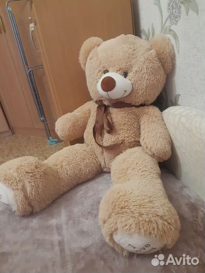 Плюшевый медведь